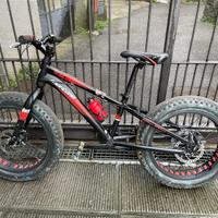 Fat bike