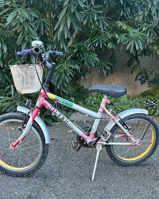 Bicicletta Silver Star