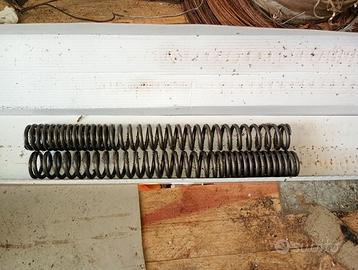 Molle forcella anteriore CBF 500 del 2004