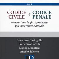 Codice civile e codice penale annotati con giurisp