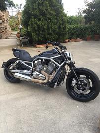Harley vrod