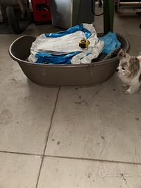 Cuccia per cani