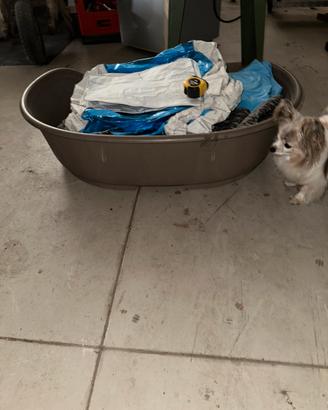 Cuccia per cani