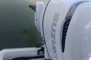 Suzuki DF 250 AT XX usato 