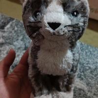 peluche 