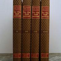 Enciclopedia LA VITA DEGLI ANIMALI

- 1962/1963