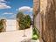 Immagine 24