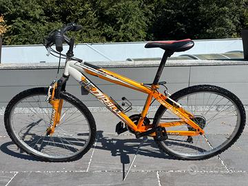 Bici Moutain bike
