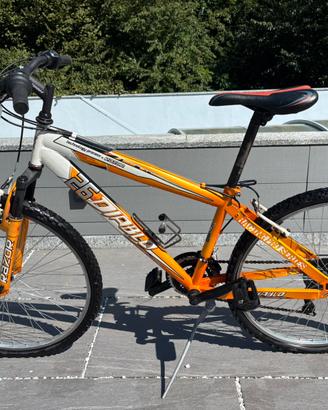 Bici Moutain bike