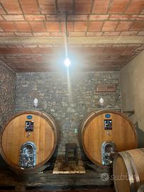 Botti in legno di rovere da 13 HL
