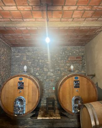 Botti in legno di rovere da 13 HL