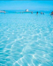 Bilocale vacanze mare Stintino