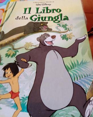 libro favole 