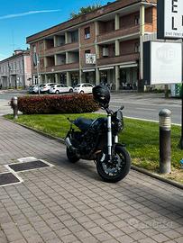 Benelli Leoncino 500 - 2022 (Appena tagliandata)