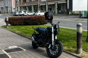 Benelli Leoncino 500 - 2022 (Appena tagliandata)