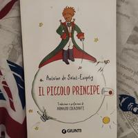 IL PICCOLO PRINCIPE 
