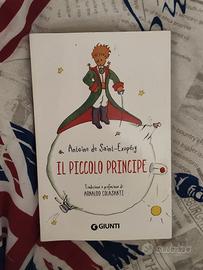 IL PICCOLO PRINCIPE 