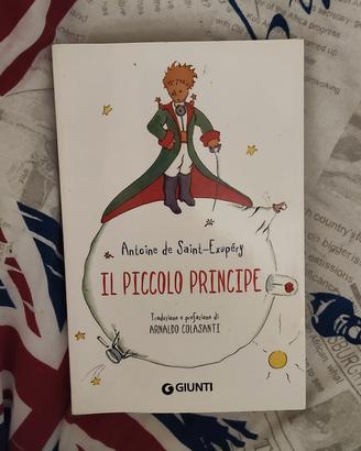 IL PICCOLO PRINCIPE 
