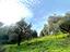Immagine 11