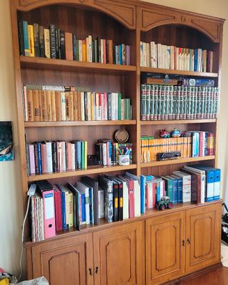 Mobile libreria
