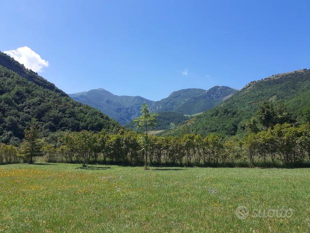 Terreno edificabile a Frontone (PU)