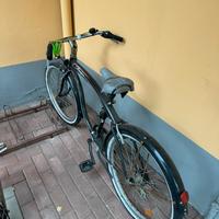 Bicicletta Frejus