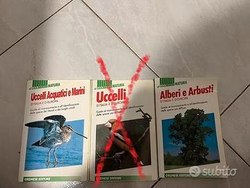 gli Abbicci NATURA 1990