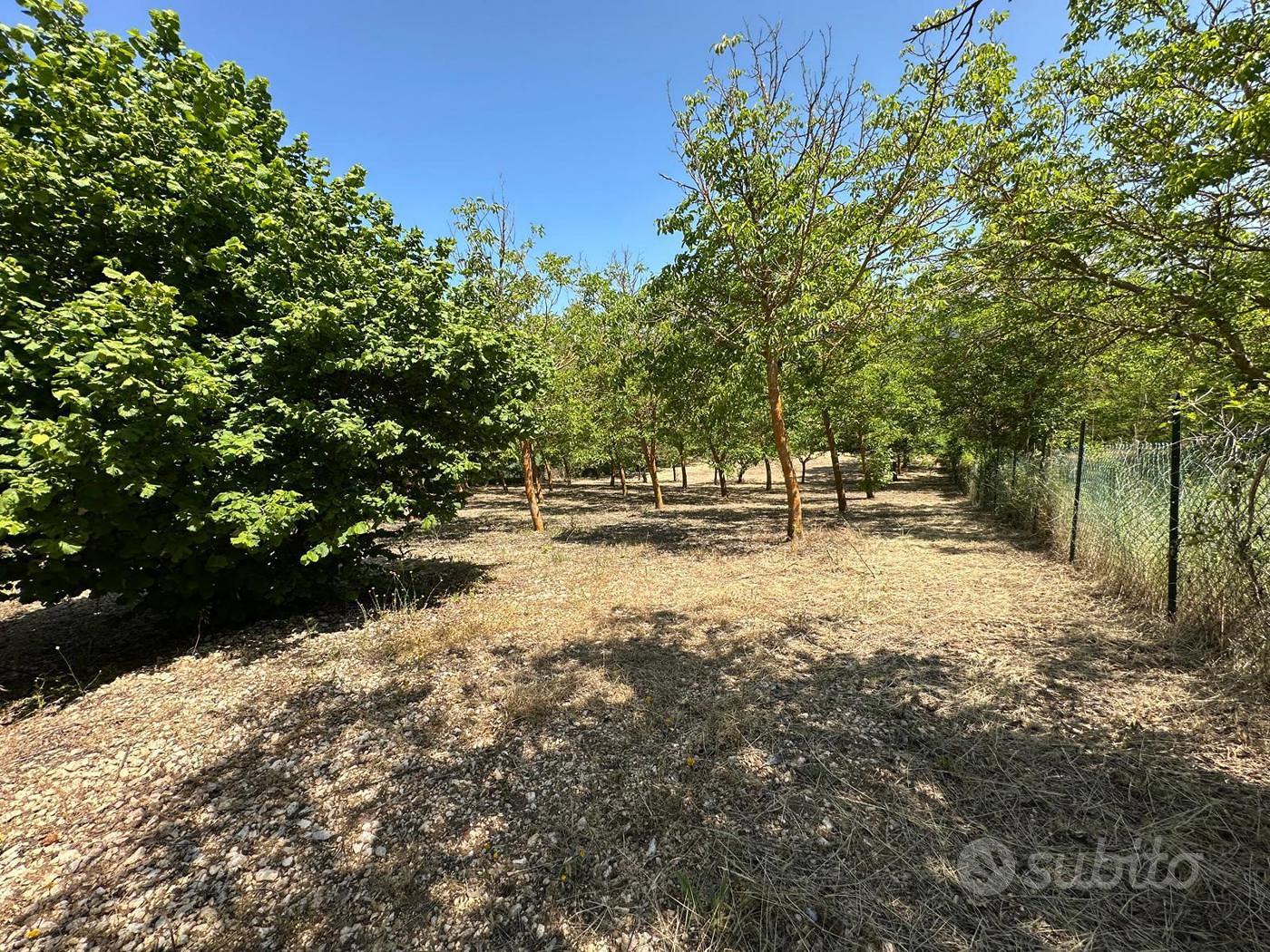 Terreno Residenziale Caporciano [GRE743VRG] - Vista 5