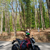 Vendita Honda Cb 1000r