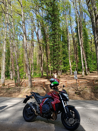 Vendita Honda Cb 1000r