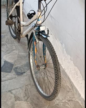 Bicleletta