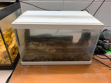 Mini Acquario Bianco