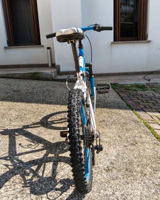 bicicletta di media taglia per bambino 