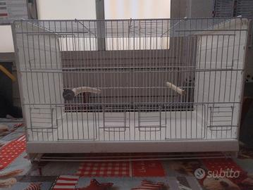 gabbia uccelli 