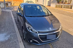 Pegeout 208