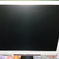 Monitor Acer 17 pollici