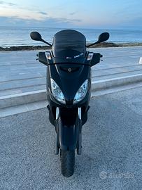 Xmax 250