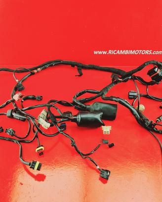 IMPIANTO ELETTRICO DUCATI HYPERMOTARD 796