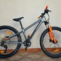 MTB Cube Reaction 240 TM (Mountain bike per bambi)