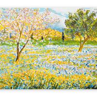 MICHELE CASCELLA 6 STAMPE