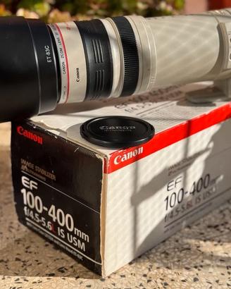 Canon EF 100-400 L IS USM