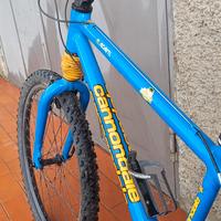 bicicletta cannondale