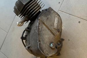 motore Benelli 50 export magnum 