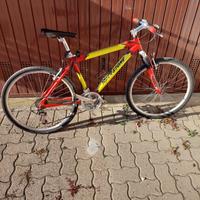 Bici da uomo