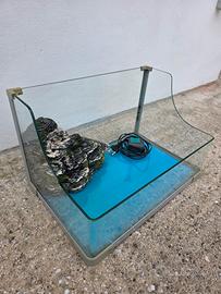 Tartarughiera con pompa