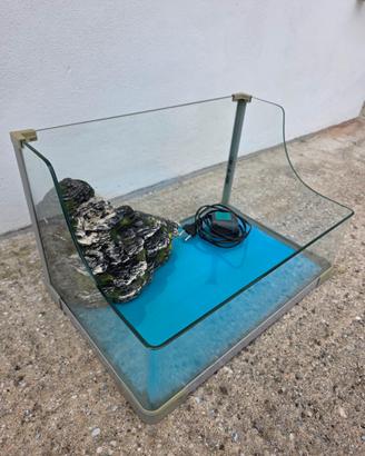 Tartarughiera con pompa