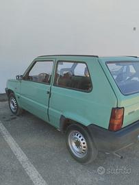 Panda 750 Young
