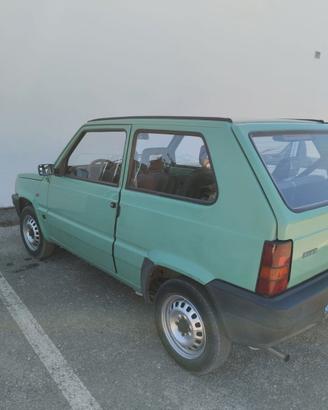 Panda 750 Young