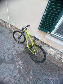 Specialized Rockhopper Mtb taglia M