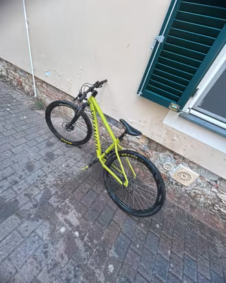 Specialized Rockhopper Mtb taglia M